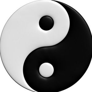 Meet your Posher, Halle